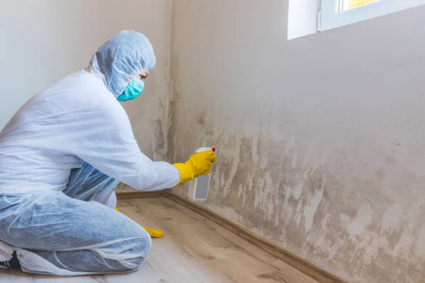 Crawl Space Mold Remediation treatment of floor joists in Hopewell